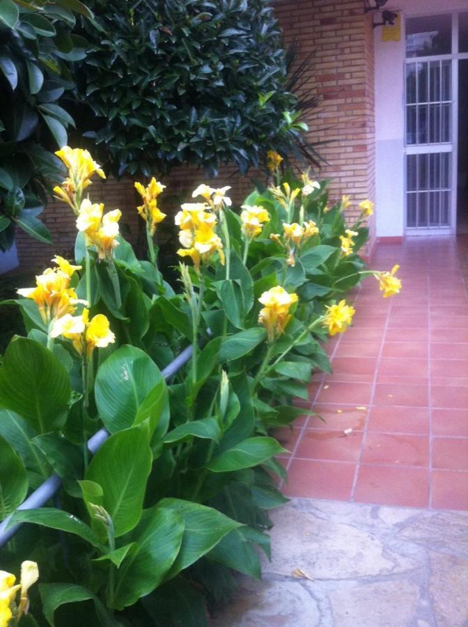 La Pineda Beach Apartment Exterior photo